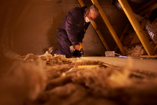 Best Residential Insulation in Monrovia, MD